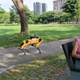 Illustration for article titled Pandemic Robots Deployed in Singapore Parks to Remind Humans of Their Own Mortality